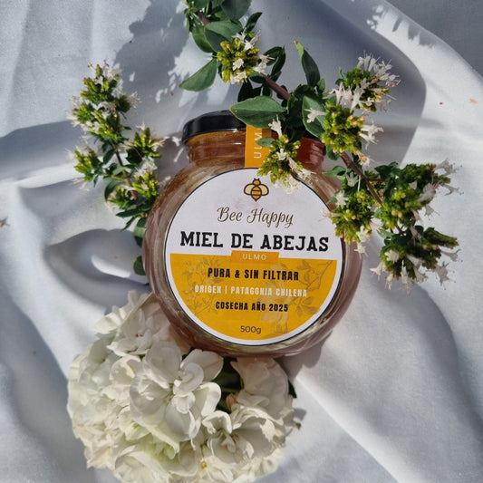 Miel Ulmo - Selección Premium 500gr