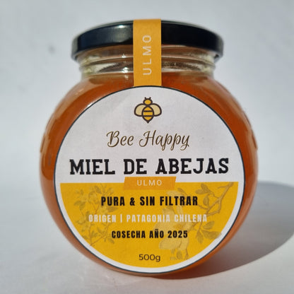 Miel Ulmo - Selección Premium 500gr