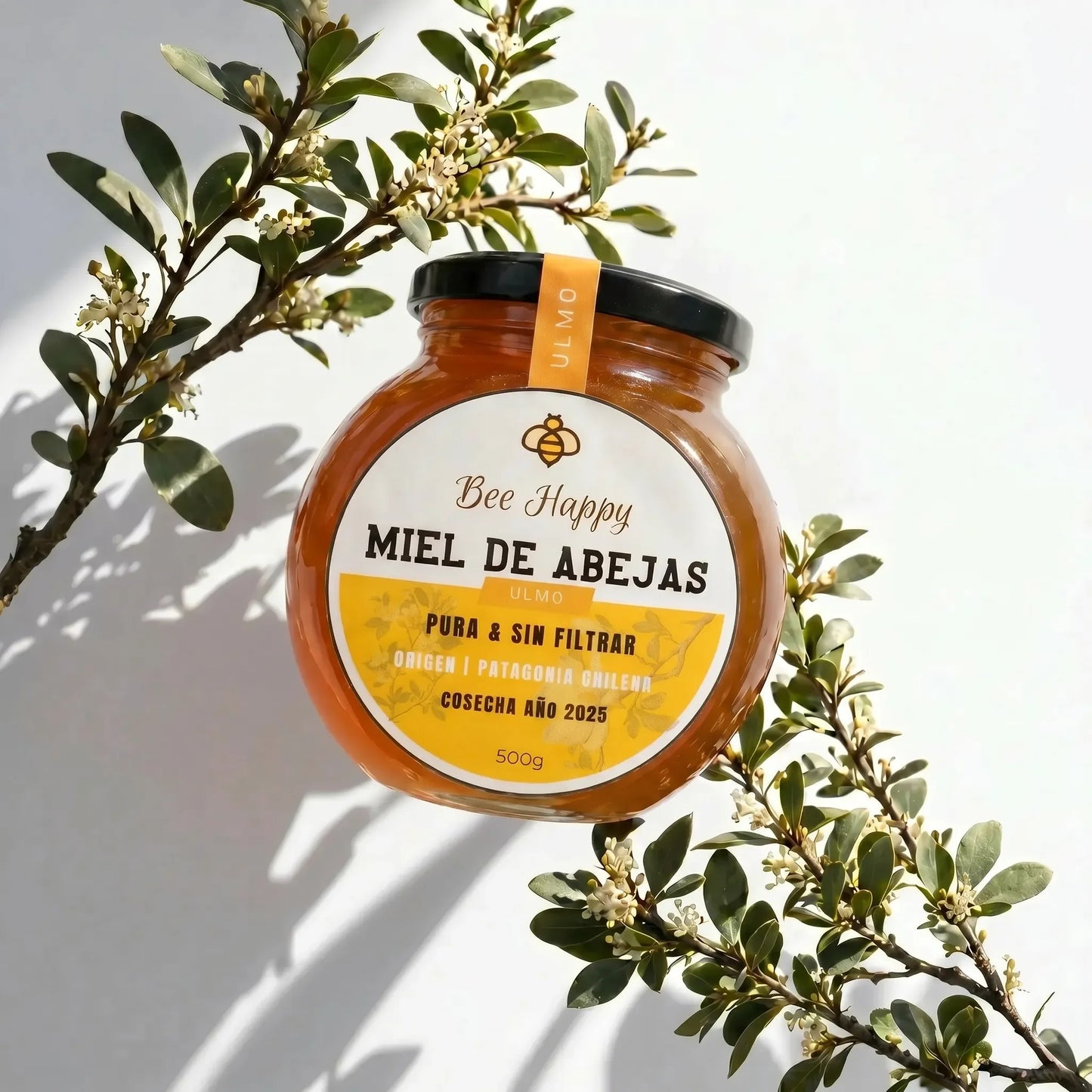 Miel Ulmo - Selección Premium 500gr